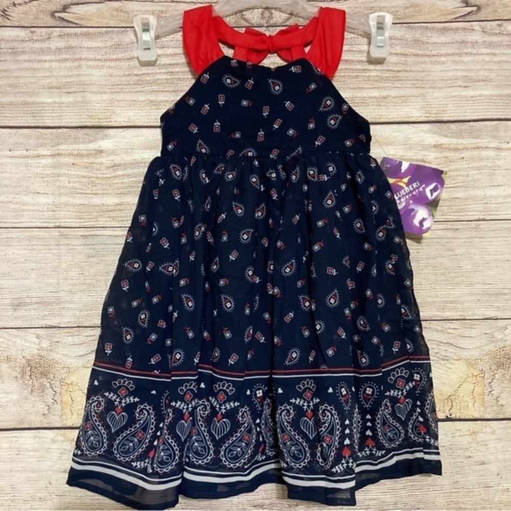Blueberi Boulevard Girl’s Chiffon Paisley Sunday Dress Size 24monts